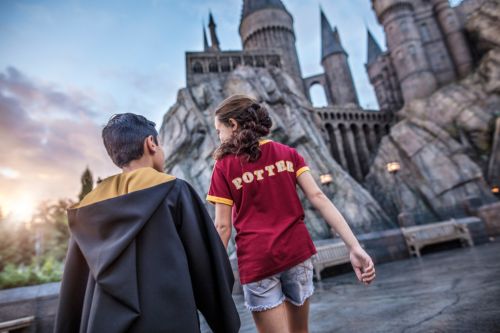 Harry Potter and the Forbidden Journey™